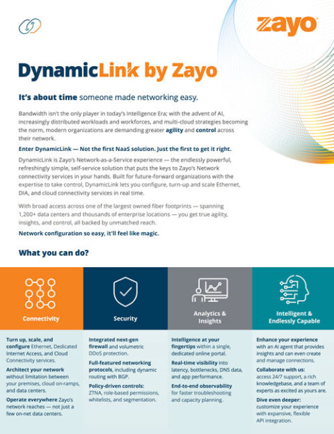 DynamicLink Overview