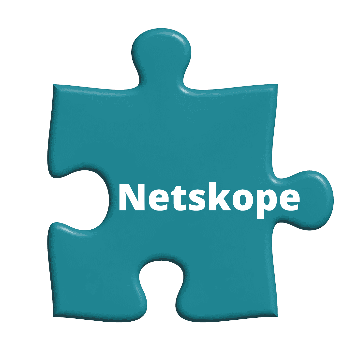 puzzle pieces netskope